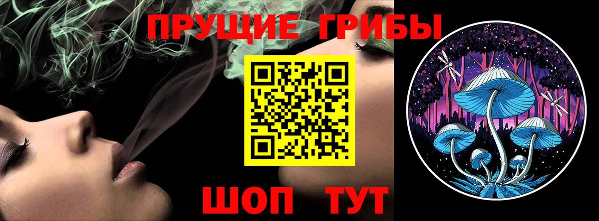 Псилоцибиновые грибы прущие грибы Волгодонск